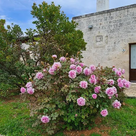 Masseria Montecchie *