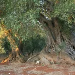 Masseria Montecchie *
