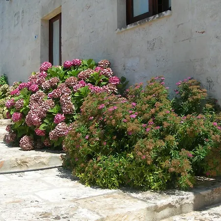 Masseria Montecchie Daire