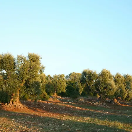 Apartament Masseria Montecchie