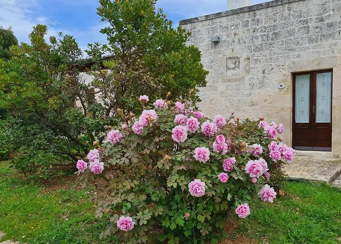 Masseria Montecchie *
