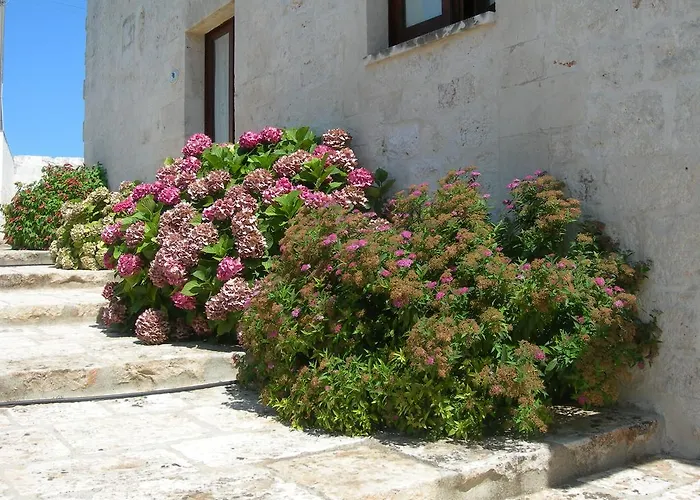 Masseria Montecchie Lägenhet