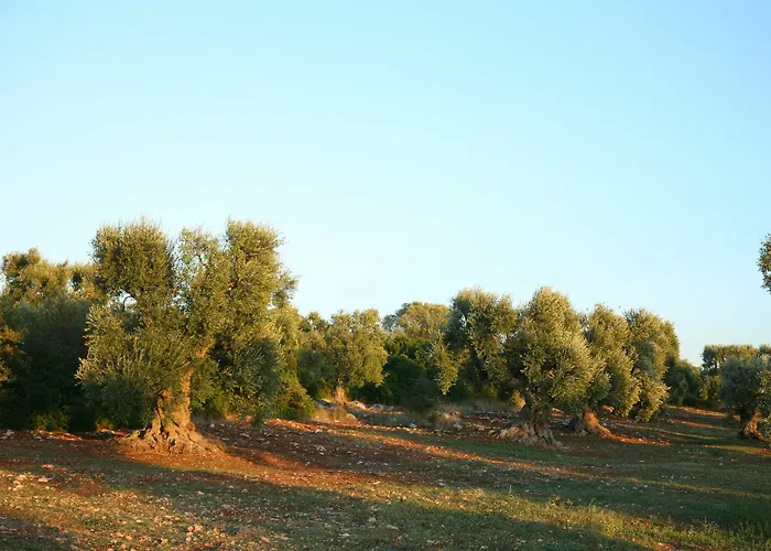 Lägenhet Masseria Montecchie